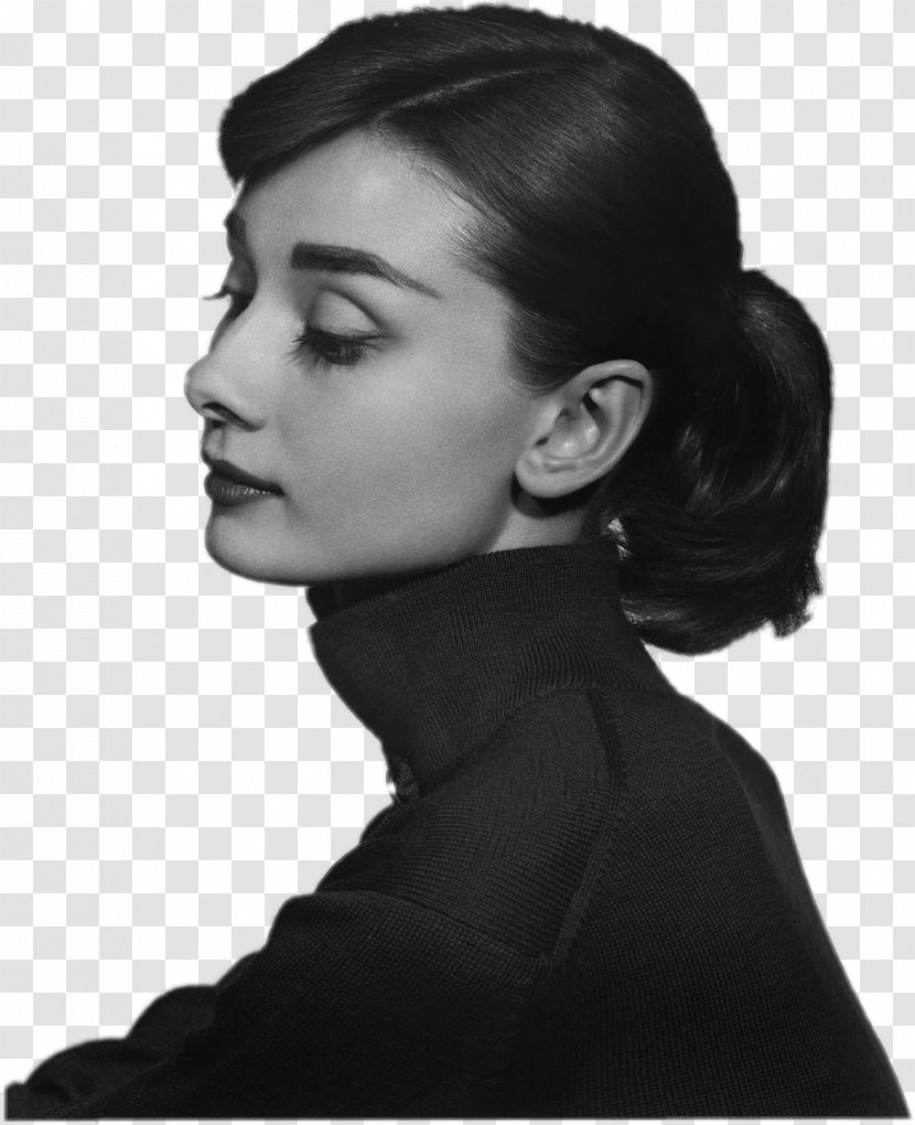 Audrey Hepburn Sabrina Photography Portrait - Photographer Transparent PNG