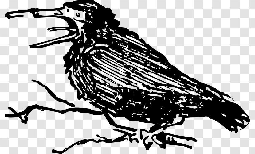 Crow Clip Art - Organism Transparent PNG