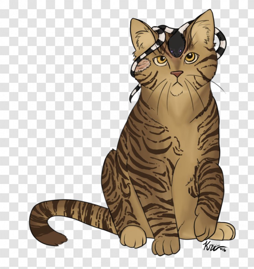 Toyger Whiskers Tiger Tabby Cat Kitten - Mammal Transparent PNG