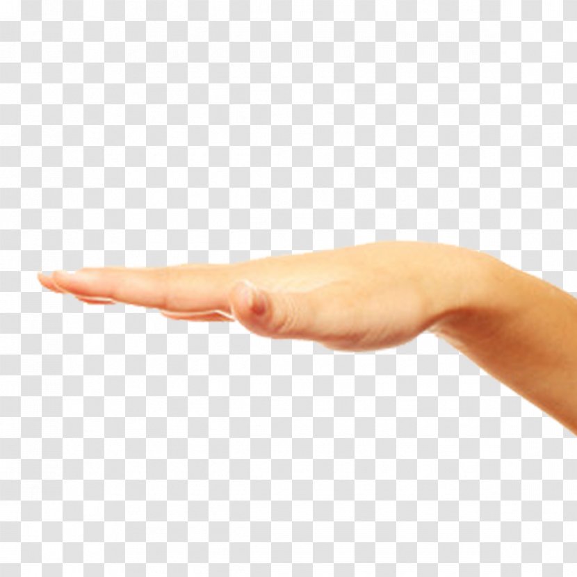 Thumb Hand Man - Model - Man's Transparent PNG