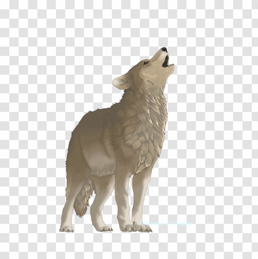 Dog Coyote Terrestrial Animal Fur Wildlife Transparent PNG