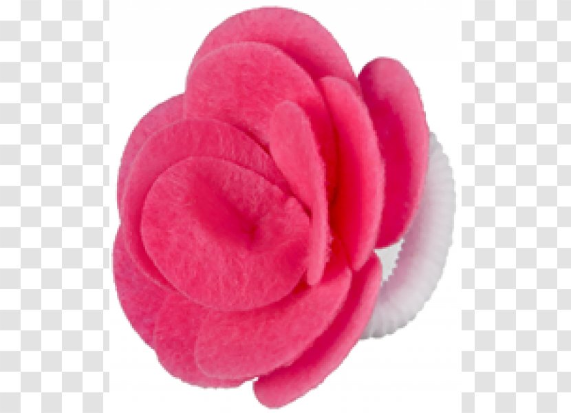 Pink M RTV - Petal - Alia Transparent PNG