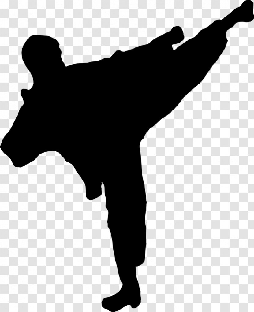 Silhouette Karate Martial Arts Clip Art - Kick Transparent PNG