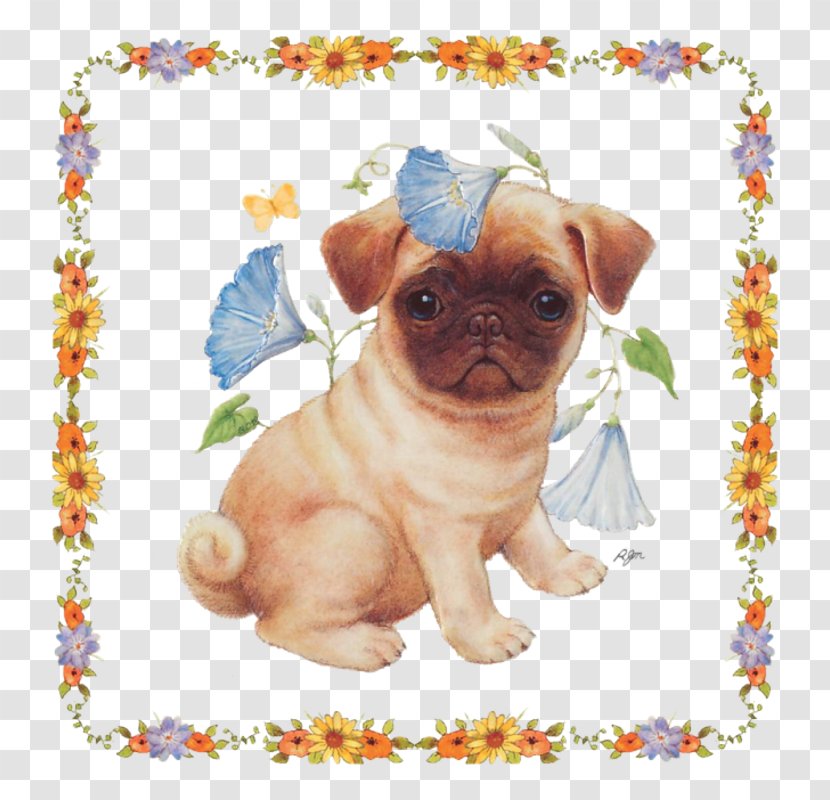 Pug Puppy Dog Breed Companion Toy Transparent PNG