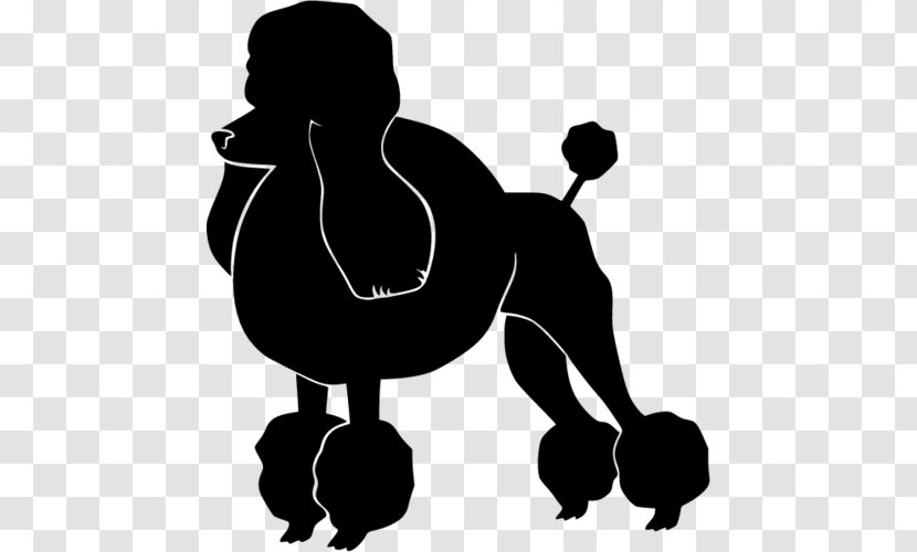 Standard Poodle The Silhouette Clip Art Transparent PNG