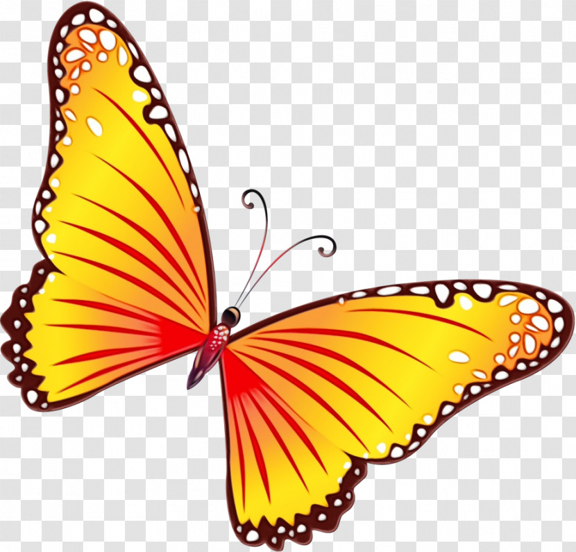 Monarch Butterfly Transparent PNG