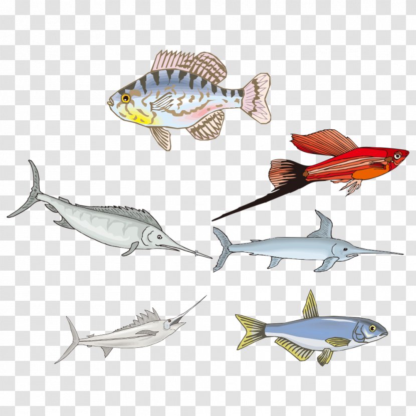 Fish Drawing Biology - Fishing Lure - Cartoon Transparent PNG