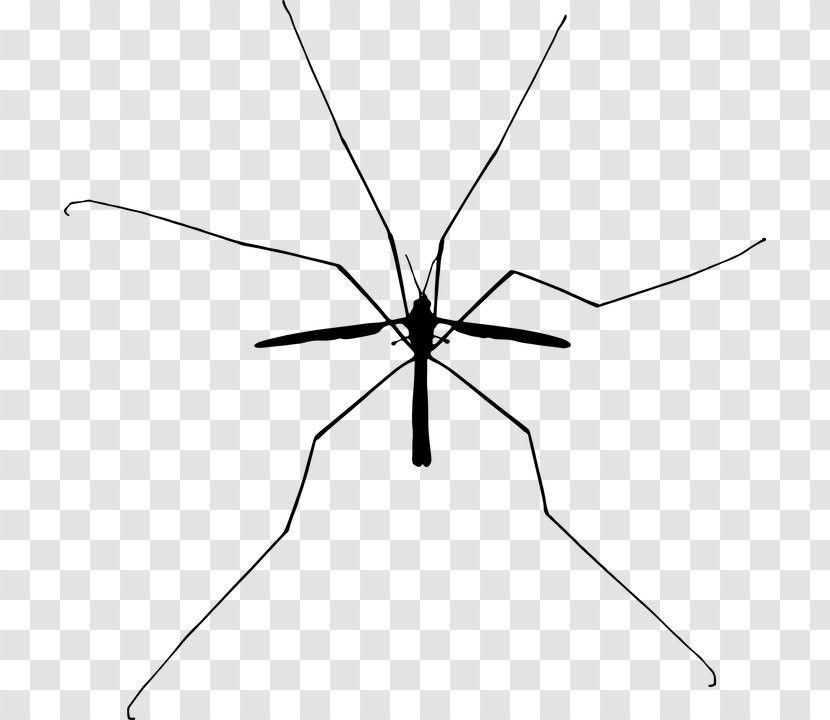 Mosquito Insect Silhouette Clip Art - Bird Transparent PNG