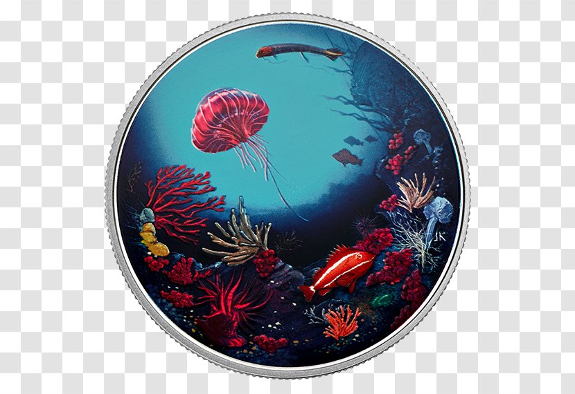 Coral Reef Canada Light Coin Marine Biology Transparent PNG