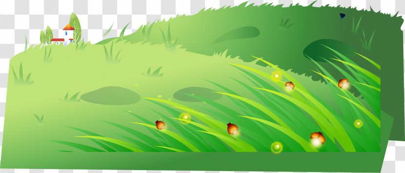 Baseball Child Sport Illustration - Grass Family - Green Fresh Field Transparent PNG