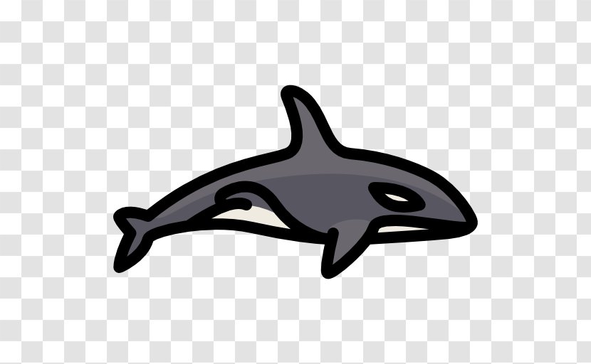 Common Bottlenose Dolphin Porpoise Killer Whale Transparent PNG