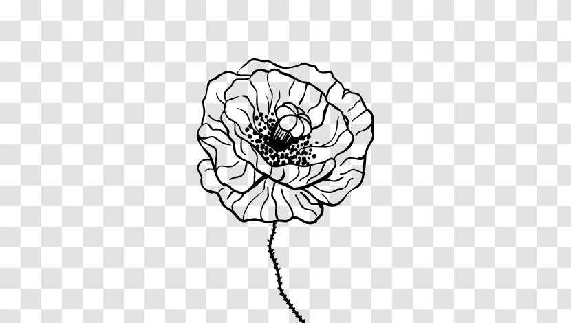 Common Poppy Drawing Painting Coloring Book - Leaf Transparent PNG