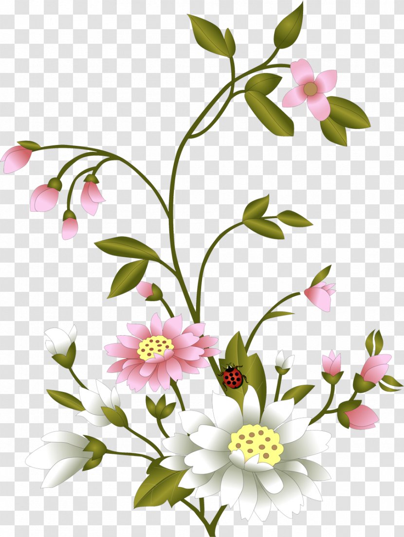 Cut Flowers Floral Design Image - Gift - Flower Transparent PNG