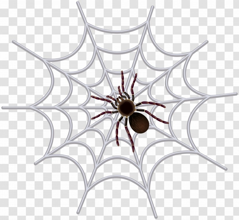 Spider Web Clip Art - Arachnophobia - Transparent Image Transparent PNG