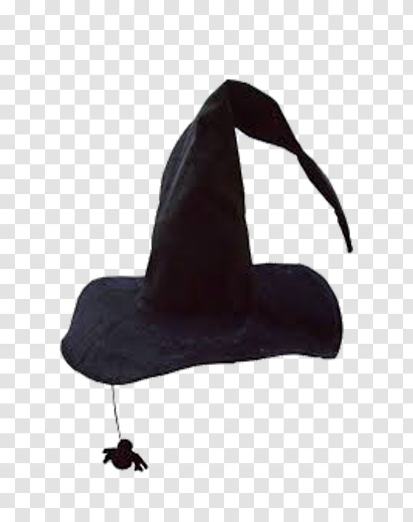 Witch Hat Boszorkxe1ny Witchcraft - Headgear - Curved Black Transparent PNG