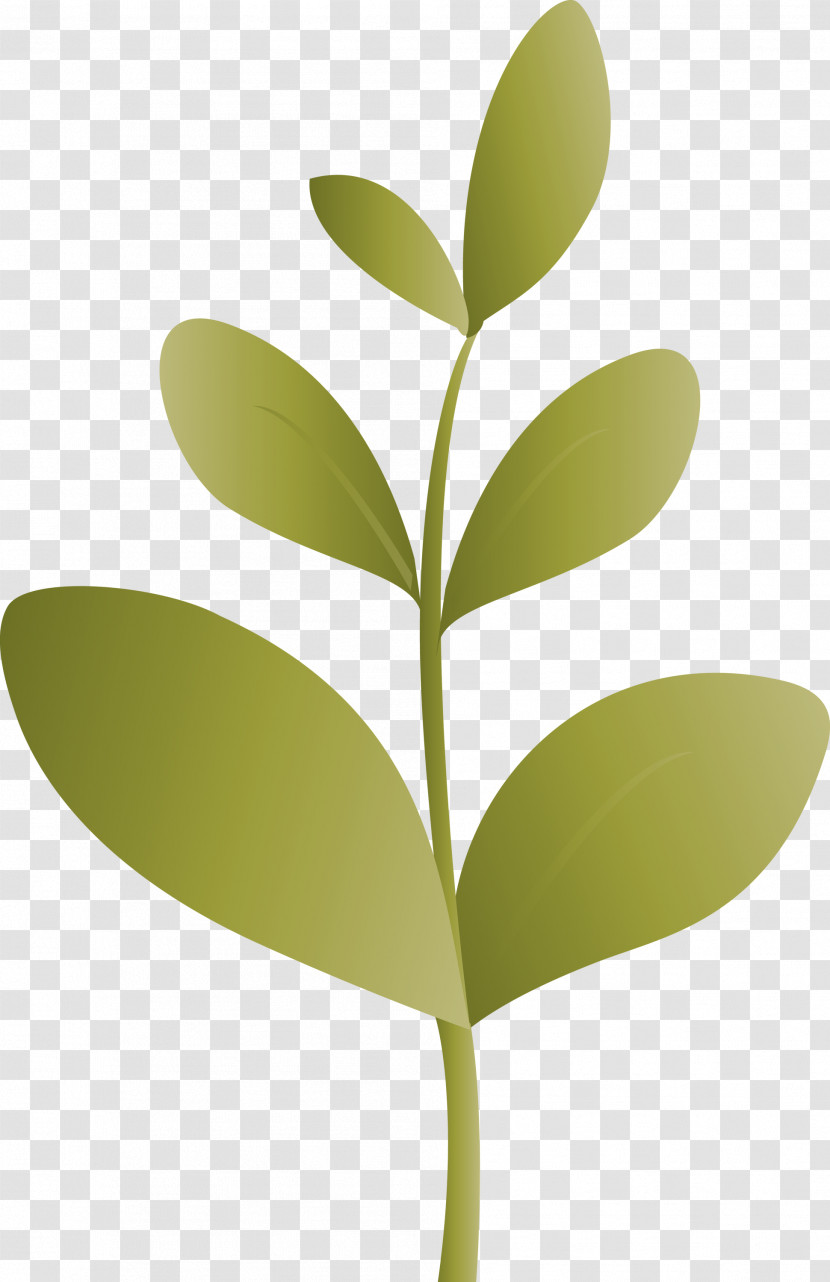 Sprout Bud Seed Transparent PNG