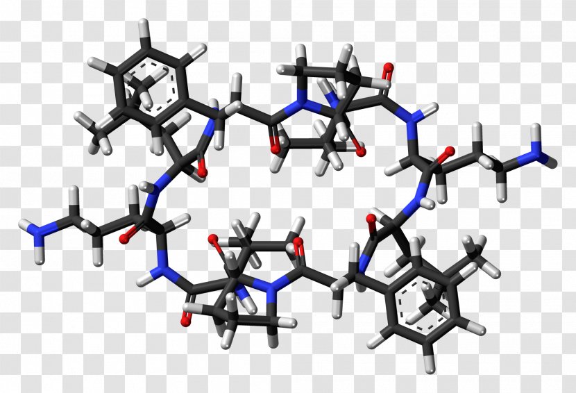 Gramicidin S Nonribosomal Peptide Biosynthesis - Oil Molecules Transparent PNG