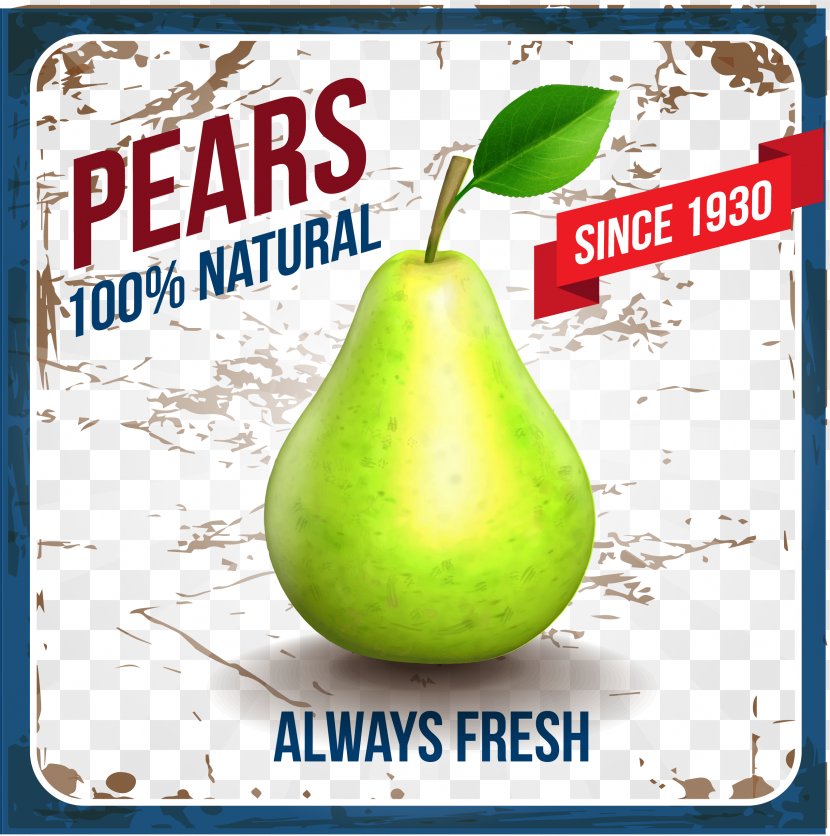 Ice Cream Pear Fruit - Cartoon - Vector Transparent PNG
