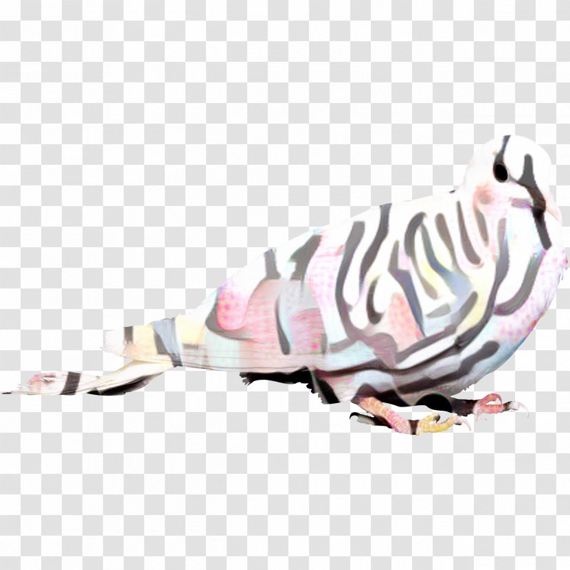 Animal Cartoon - Pink - Figure Transparent PNG