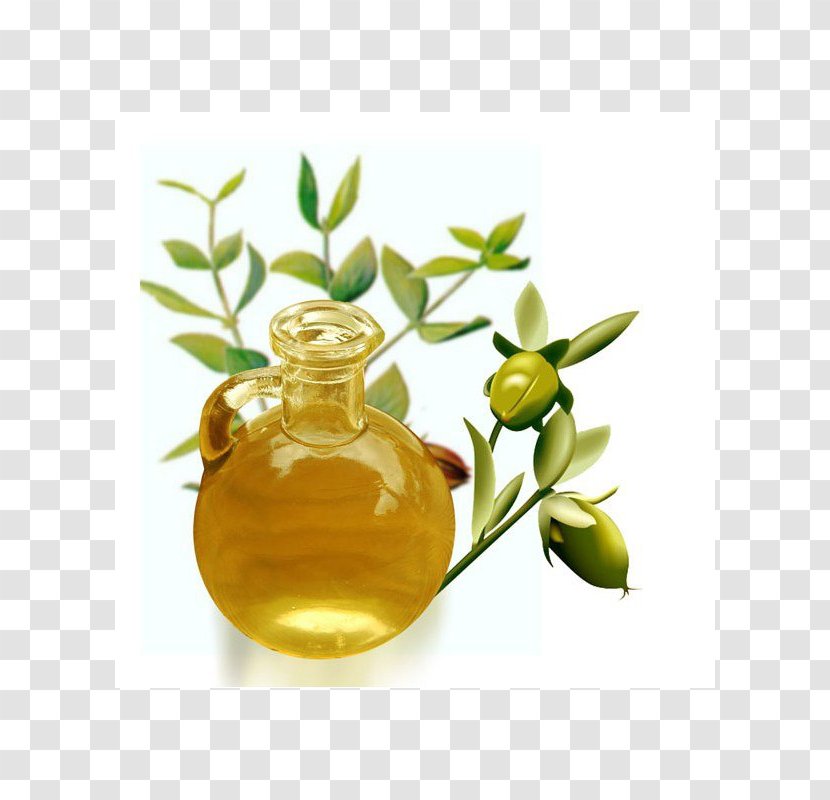 Jojoba Oil Essential Cosmetology Transparent PNG