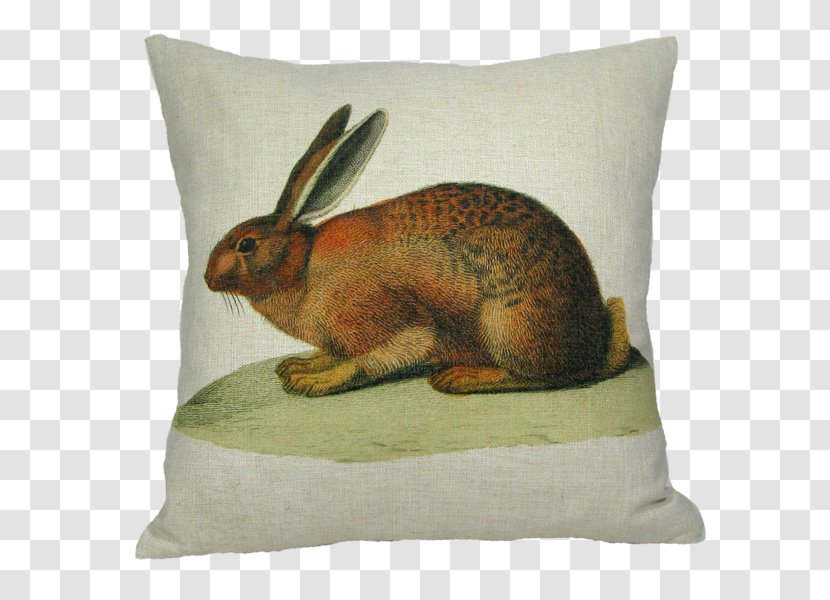 Domestic Rabbit Throw Pillows Easter Bunny - Fauna - Pillow Transparent PNG