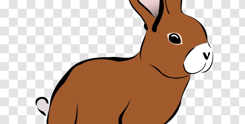 Rabbit Hare Download Clip Art - Carnivoran Transparent PNG