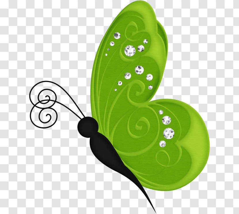 Butterfly Insect Clip Art Desktop Wallpaper GIF - Green Transparent PNG