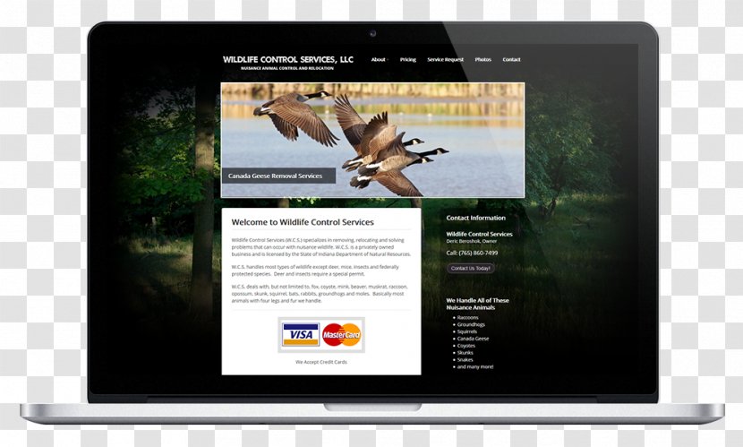 Wildlife Small Business Marksman Media Marketing Transparent PNG