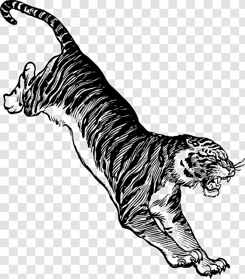 Cat Siberian Tiger Clip Art - Black And White - Jumping Castle Transparent PNG