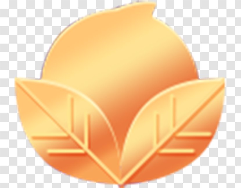 Download - Orange - Golden Peach Perspective Transparent PNG