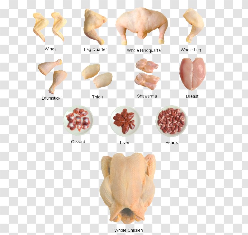 Poultry Food Agriculture Eating FFA Competitions - Microsoft Powerpoint - International Trade Transparent PNG