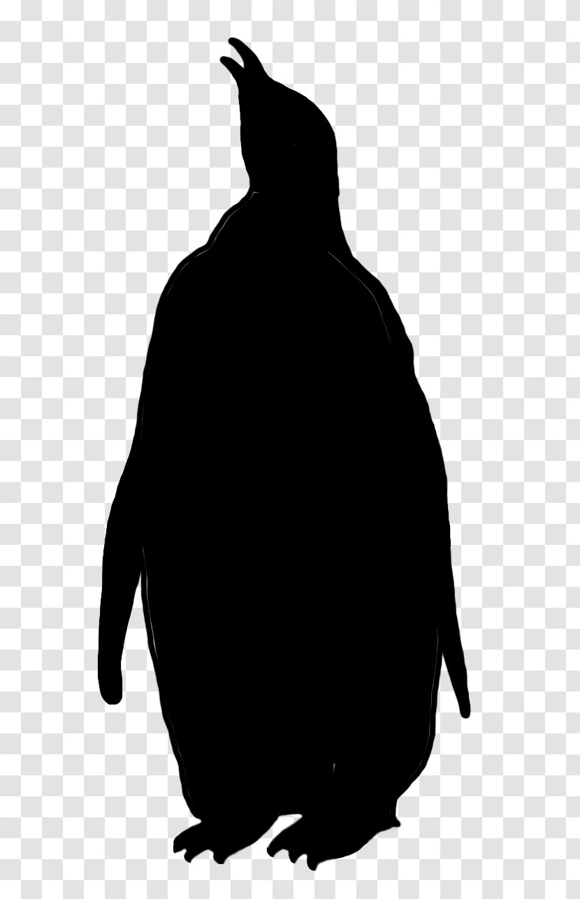 Penguin Fauna Silhouette Landfowl Beak - Blackandwhite - Flightless Bird Transparent PNG
