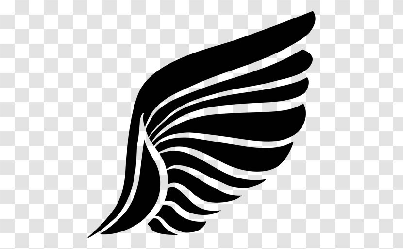 Silhouette Blackandwhite - Drawing - Feather Logo Transparent PNG