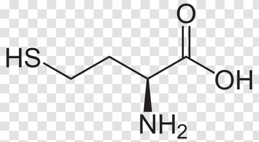 Homoserine Homocysteine Amino Acid - Farbanpassung Transparent PNG