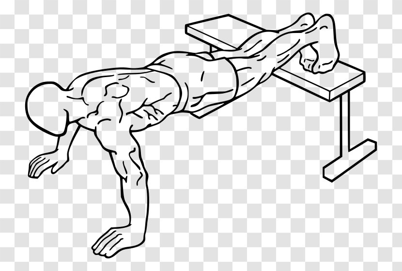 Push-up Exercise Physical Fitness Bench Press Weight Training - Flower - Feet Up Transparent PNG