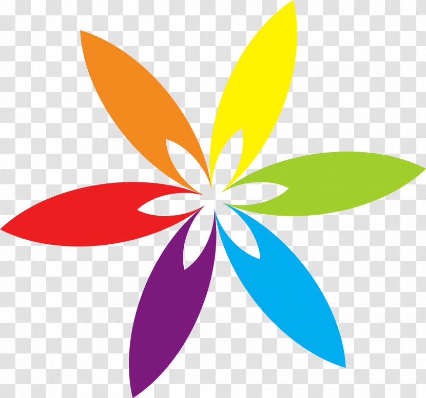 Color Petal - Wheel - Flower Transparent PNG