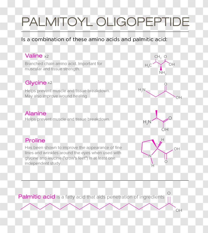 Document Pink M Line Angle RTV - Diagram Transparent PNG