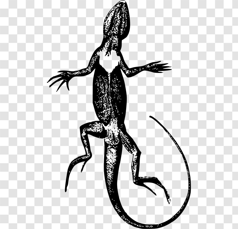 Lizard Urdu YouTube Islam Tariqa - Mythical Creature Transparent PNG