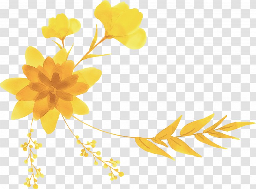 Yellow Flower Designer - Hand Painted Bouquet Header Box Transparent PNG