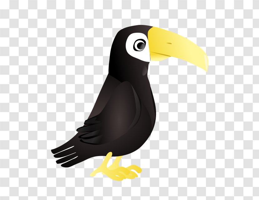 Toco Toucan Parrot Clip Art Transparent PNG