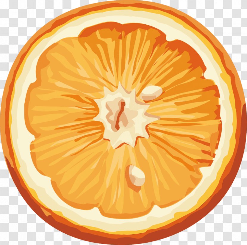 Orange Juice Citrus × Sinensis Transparent PNG