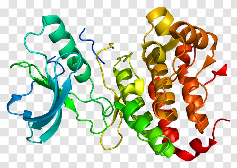 EPH Receptor A3 Ephrin Protein Gene - Tree - Silhouette Transparent PNG