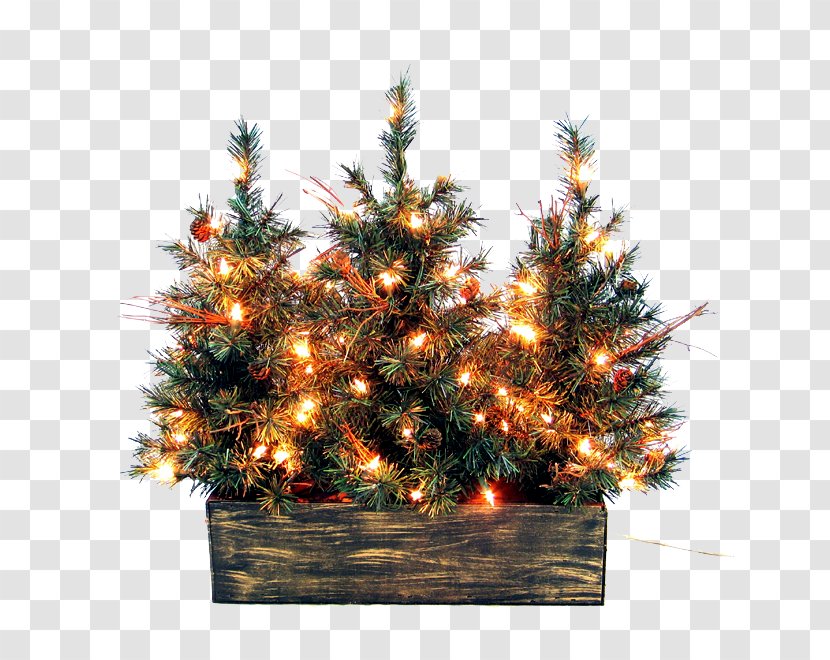 Christmas Tree Decoration Ornament - Interior Design Services - Outside Picture Transparent PNG