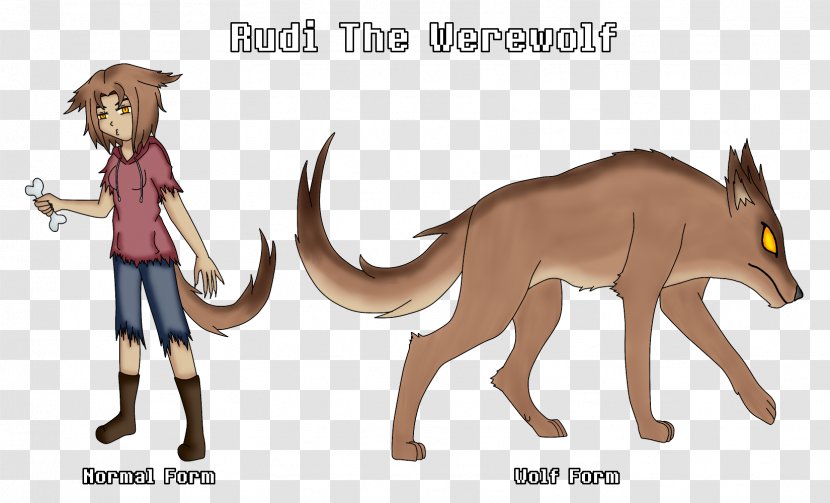 Canidae Art Macropods Werewolf Cat - Watercolor Transparent PNG