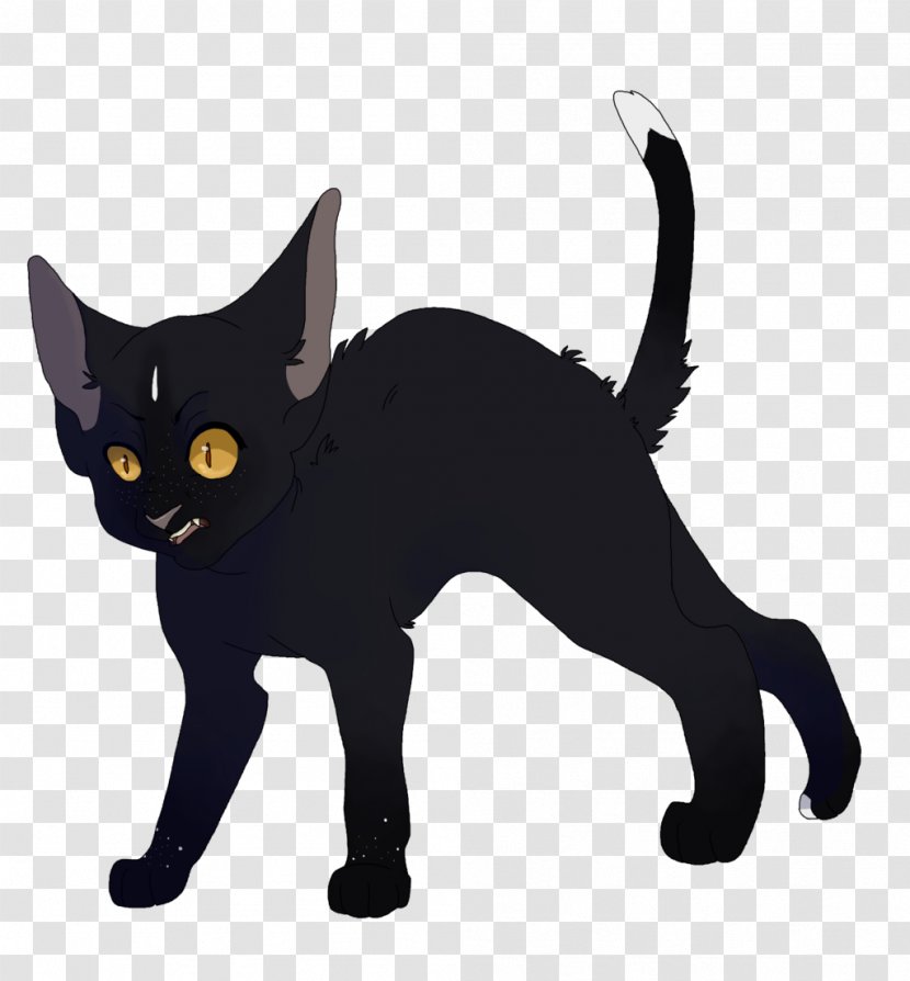 Black Cat Kitten Domestic Short-haired Whiskers - Carnivoran Transparent PNG