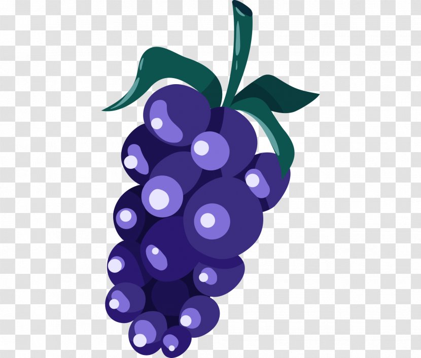 Grape Illustration Purple Wine - Vitis - Cell Phone Transparent PNG