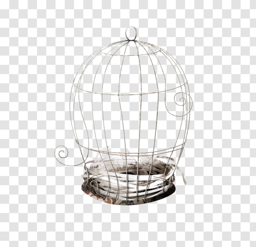 Cage Clip Art - Creativity - Bird Cadge Transparent PNG