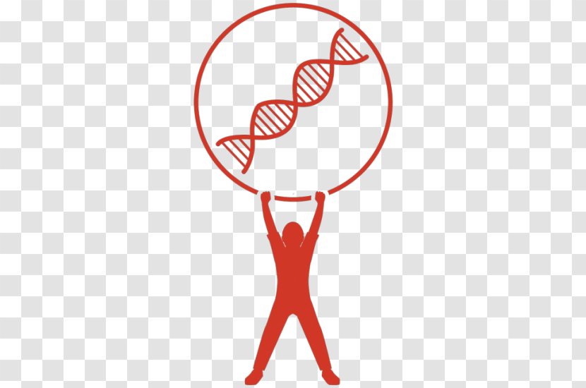 The Double Helix: A Personal Account Of Discovery Structure DNA Vector Nucleic Acid Helix Clip Art - Frame - Strength Building Transparent PNG