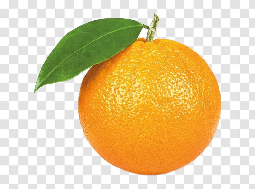 Orange Juice Citrus × Sinensis Stock Photography Mandarin - Chenpi Transparent PNG