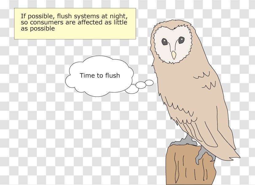 Owl Beak Bird Of Prey Transparent PNG